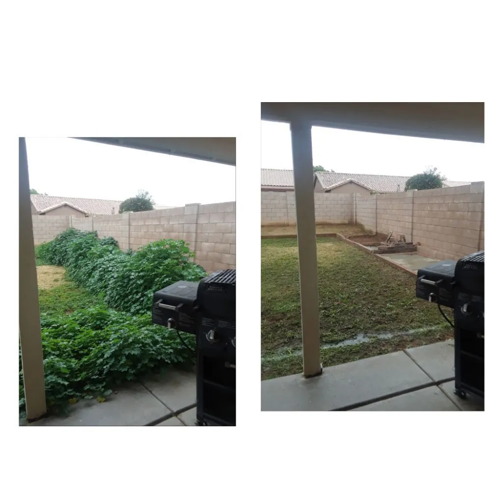 Affordable lawn mowing service experts serving Chandler, AZ - Phillip's Landscaping Services