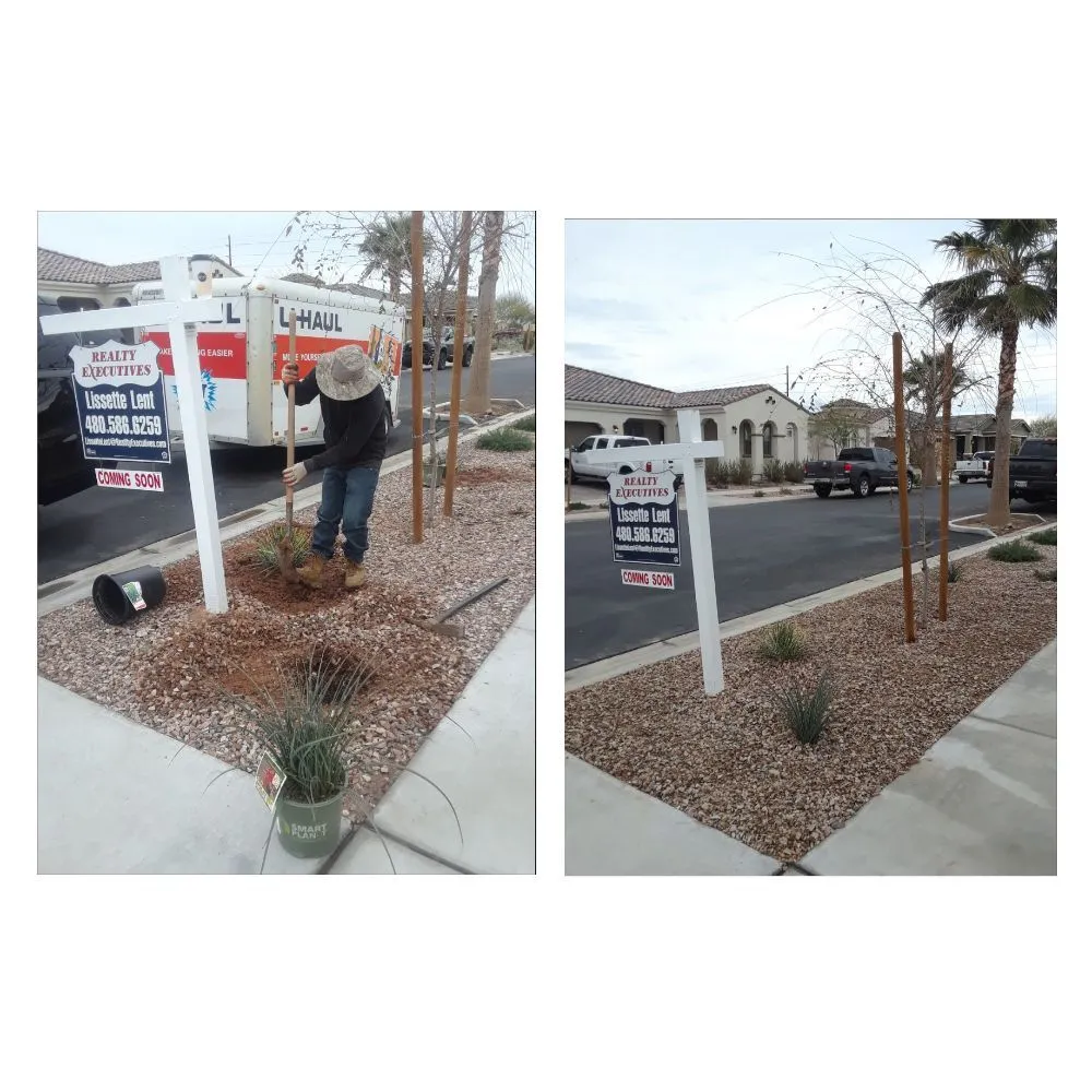 Affordable lawn mowing service in Chandler, AZ by Phillip's Landscaping Services