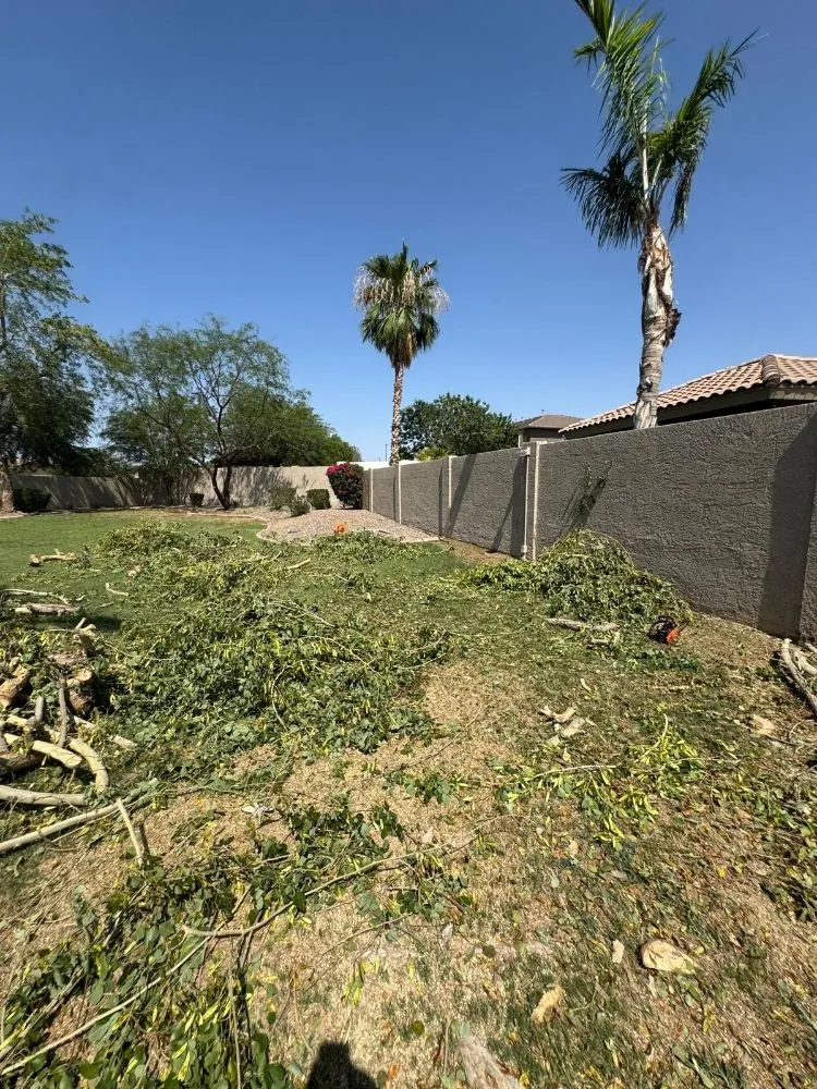 Top-rated outdoor landscaping experts serving Chandler, AZ - Phillip's Landscaping Services