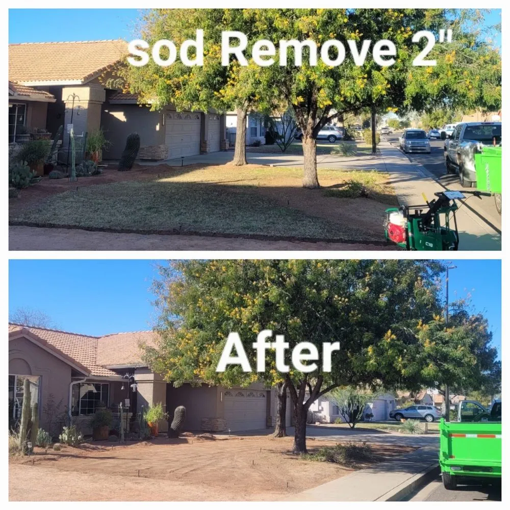 Top-rated landscape design in Chandler, AZ - Phillip's Landscaping Services