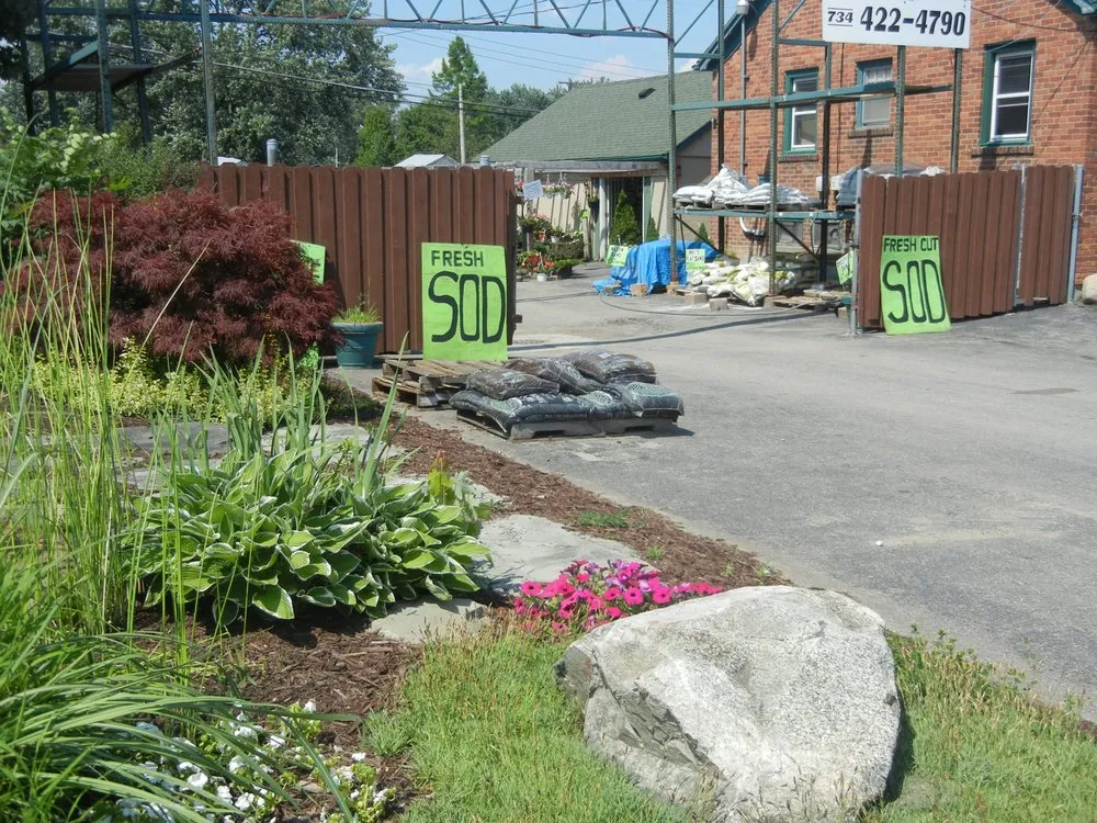 Local yard maintenance in Westland, MI by Phillips Landscaping