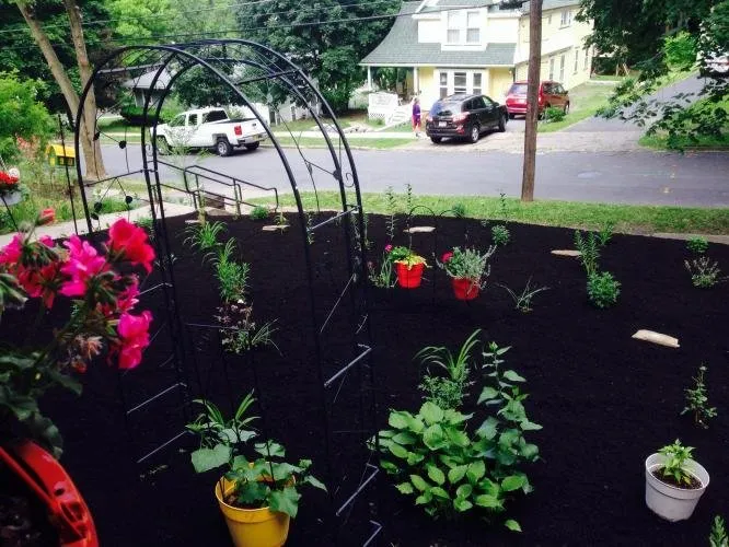 Top-rated garden landscaping in Lyons, NY by Phillips Lawn & Landscape