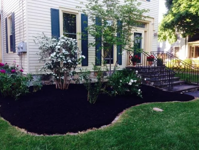 Professional landscaping services experts serving Lyons, NY - Phillips Lawn & Landscape