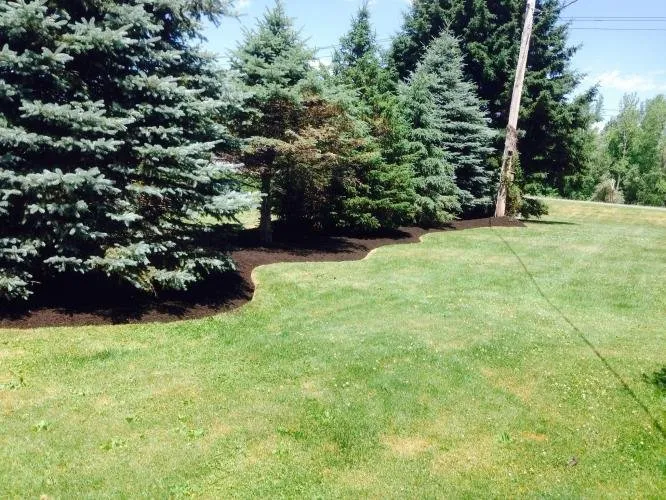 Affordable landscaping services in Lyons, NY - Phillips Lawn & Landscape