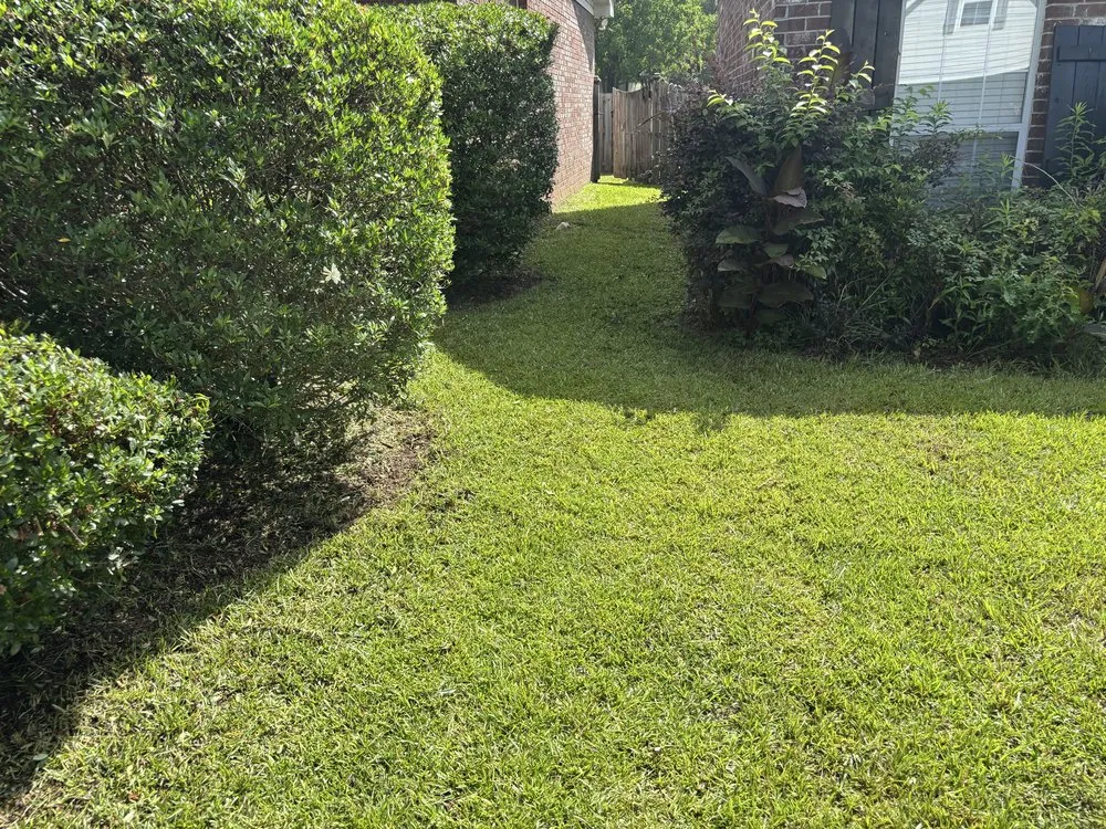 Professional landscape installation in Petal, MS - Phillips Lawn Care