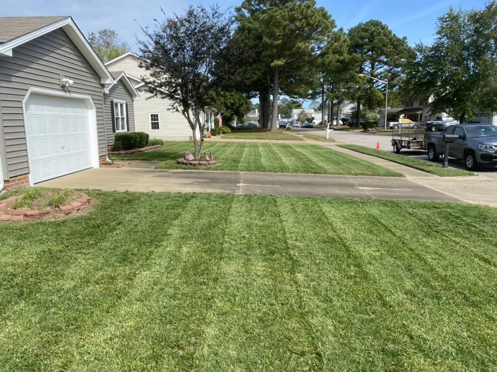 Custom yard cleanup service for residential properties in Elizabeth City, NC by Phillips Lawn Services