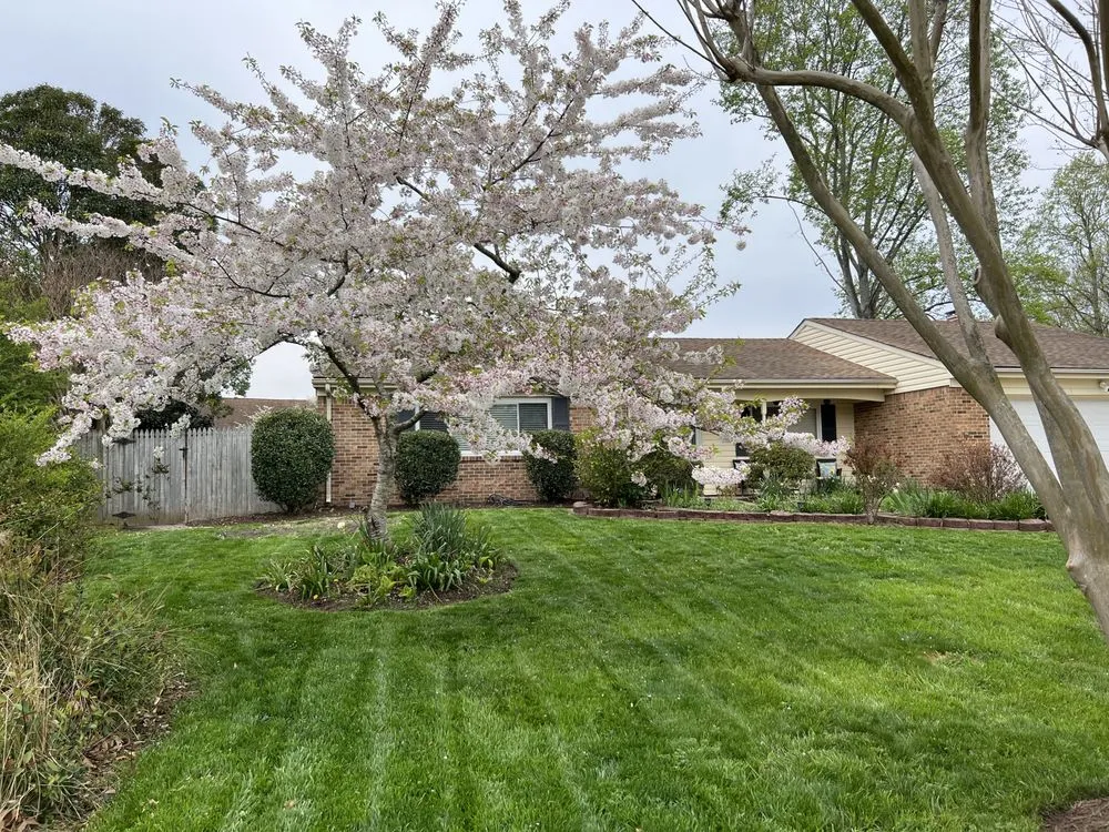 Local yard cleanup service experts serving Elizabeth City, NC - Phillips Lawn Services