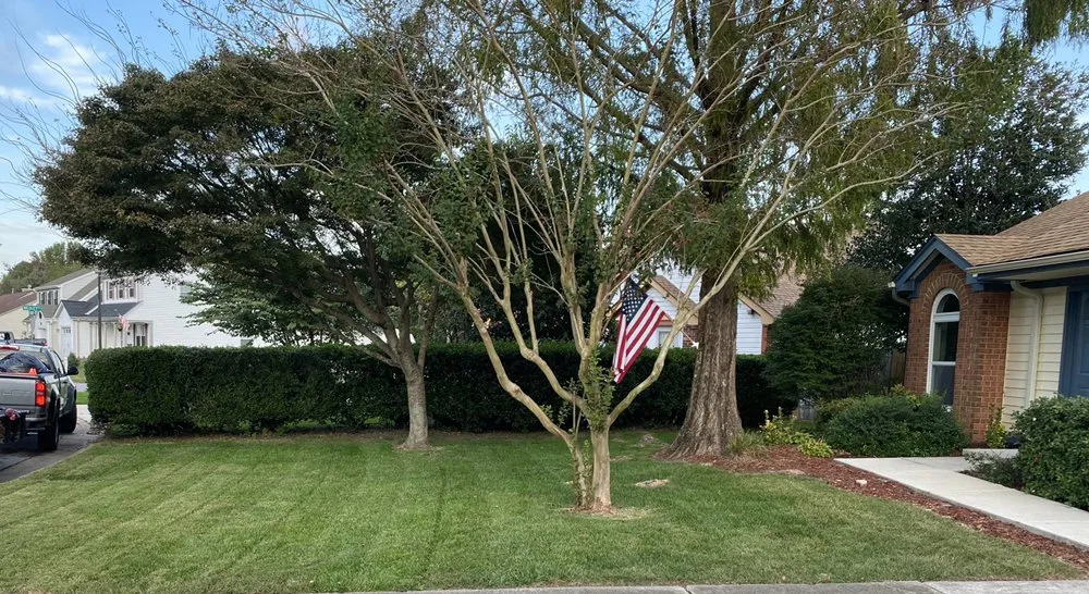 Local landscaping services for homes in Elizabeth City, NC by Phillips Lawn Services