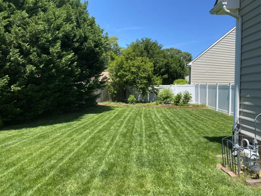 Professional landscaping services with custom design across Elizabeth City, NC - Phillips Lawn Services