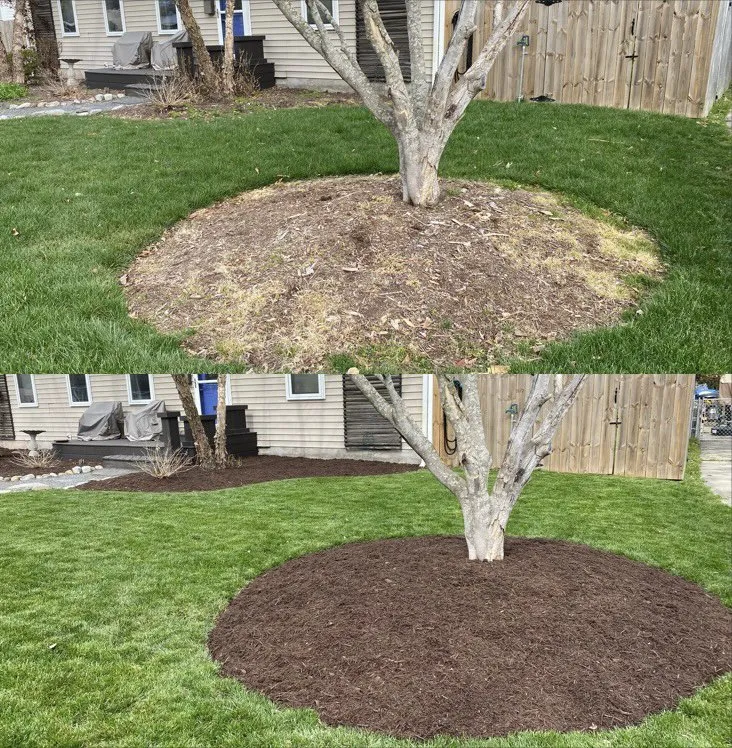 Reliable landscaping services experts serving Elizabeth City, NC - Phillips Lawn Services