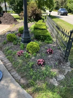 Phillips Lawn Services