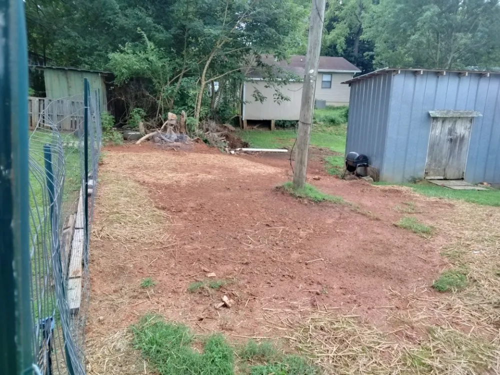 Top-rated landscape design experts serving Mount Airy, GA - Phillips Outdoor Management