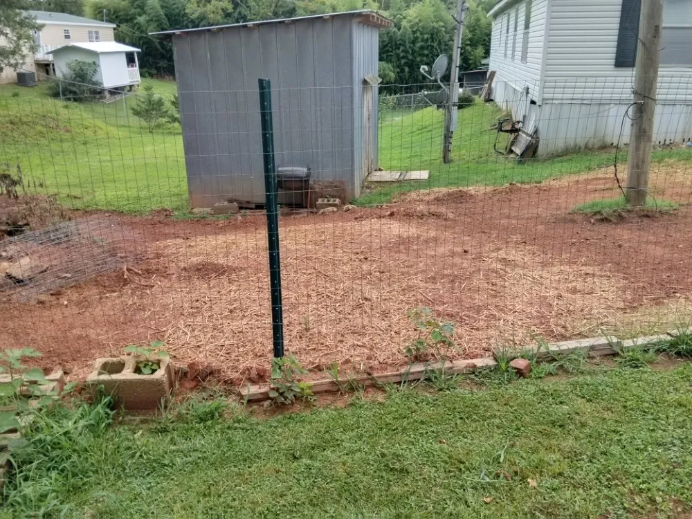 Expert landscaping services for year-round maintenance across Mount Airy, GA - Phillips Outdoor Management