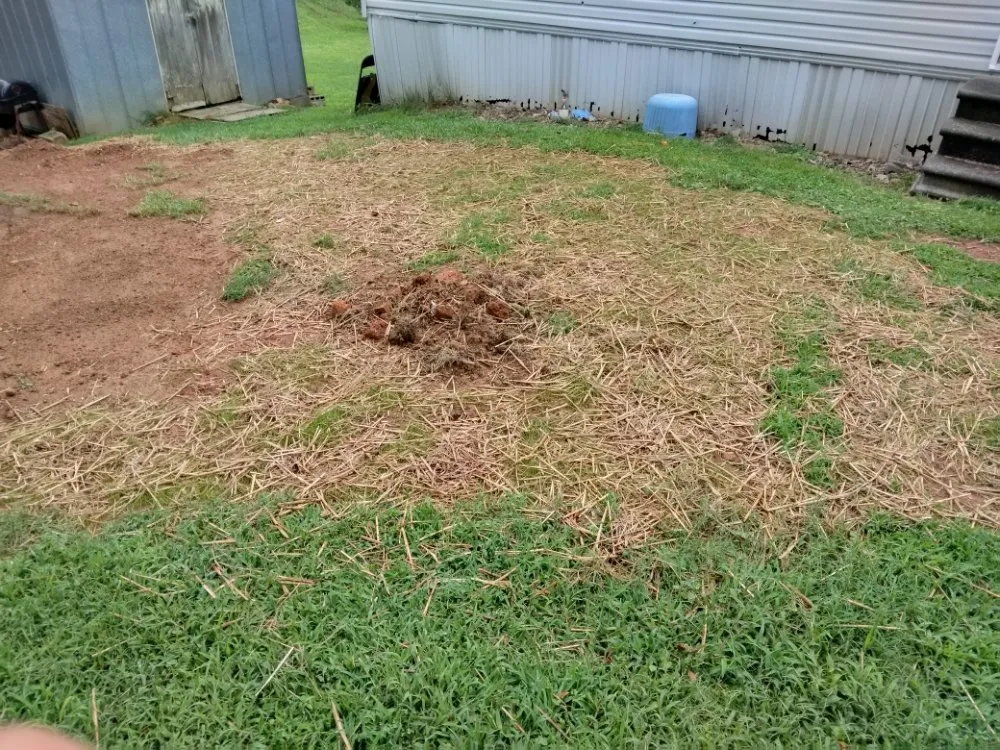 Trusted lawn care service experts serving Mount Airy, GA - Phillips Outdoor Management