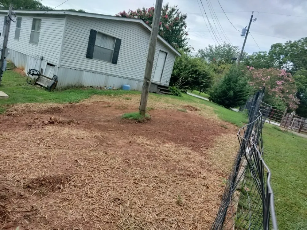 Expert landscaping services in Mount Airy, GA - Phillips Outdoor Management