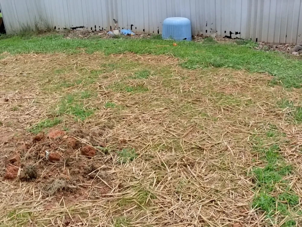 Trusted lawn mowing service in Mount Airy, GA - Phillips Outdoor Management