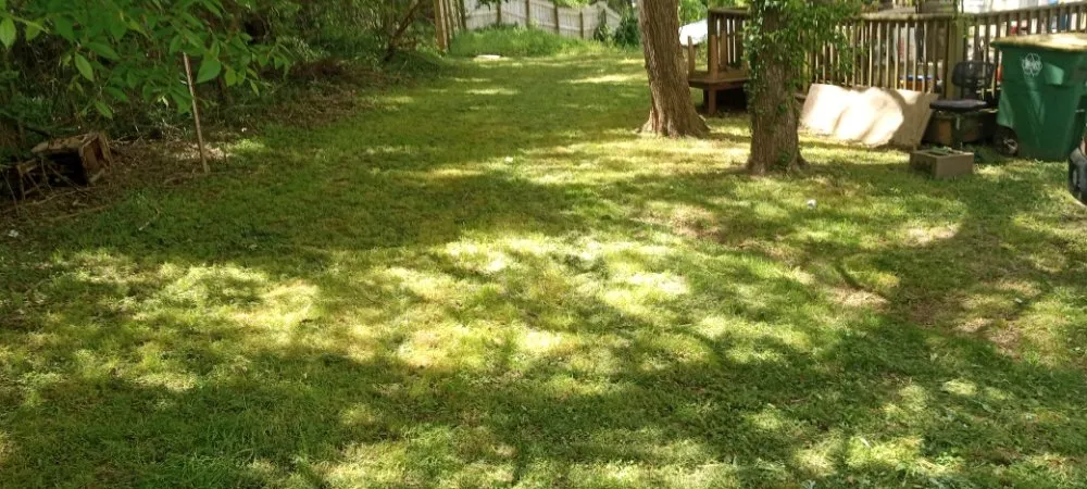 Professional residential landscaping for beautiful yards across Mount Airy, GA - Phillips Outdoor Services