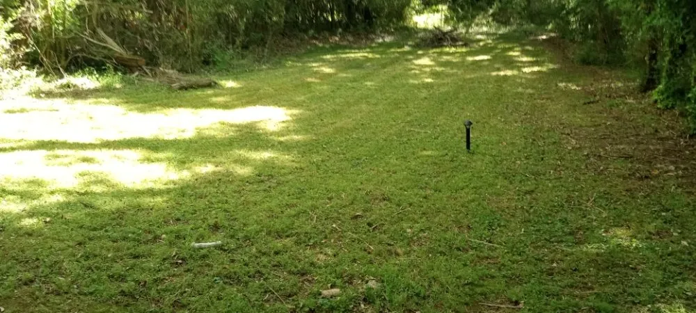 Professional yard cleanup service near you in Mount Airy, GA by Phillips Outdoor Services