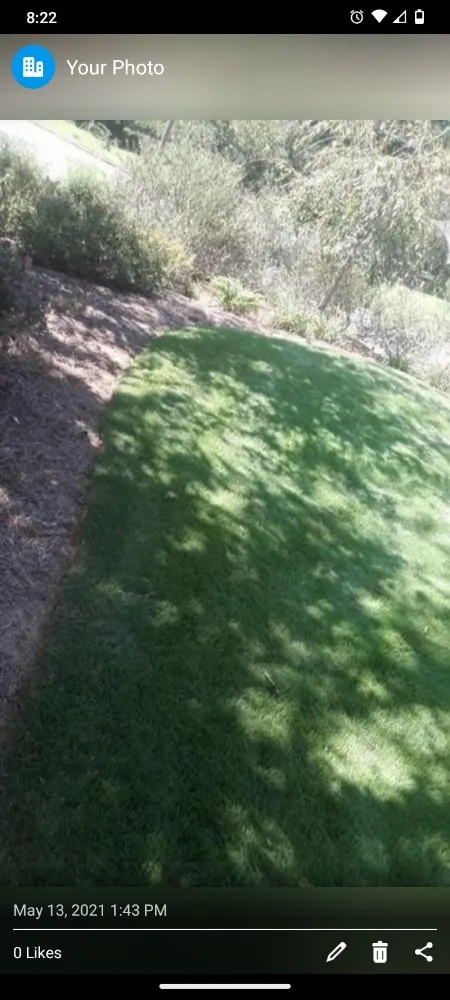 Expert yard cleanup service in Mount Airy, GA - Phillips Outdoor Services