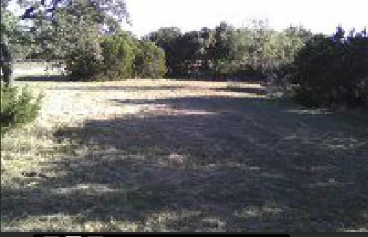 Custom landscape installation in Weatherford, TX - Phillips Services Unlimited