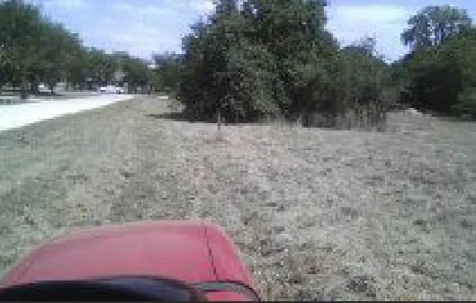 Custom lawn care service in Weatherford, TX - Phillips Services Unlimited