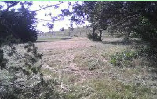 Affordable garden landscaping in Weatherford, TX by Phillips Services Unlimited