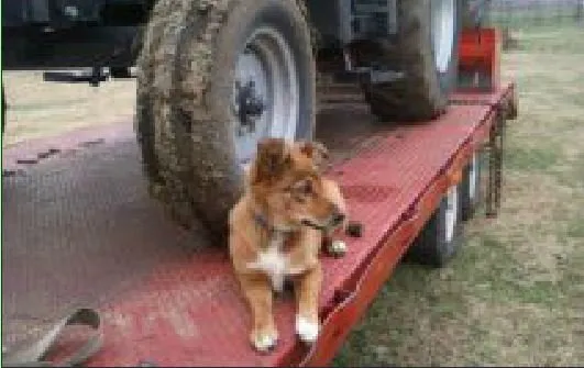 Trusted garden landscaping for year-round maintenance across Weatherford, TX - Phillips Services Unlimited