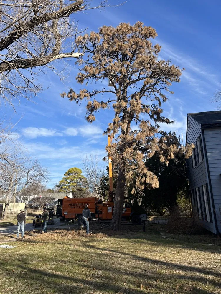 Professional landscaping services in Chickasha, OK - Phillips Tree Care