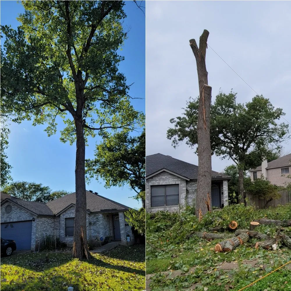 Affordable landscaping services in Caldwell, TX by Phillips Trio Lawn And Tree Care