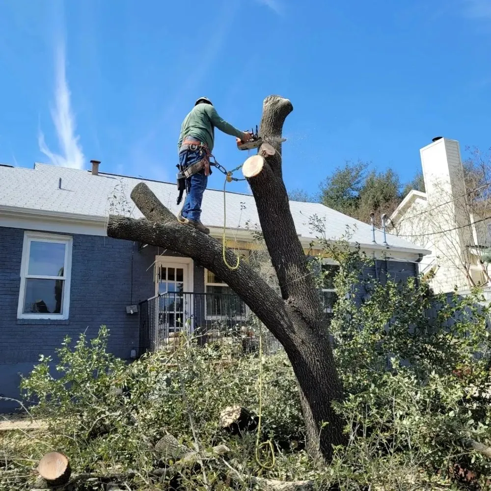 Top-rated landscape design in Caldwell, TX by Phillips Trio Lawn And Tree Care