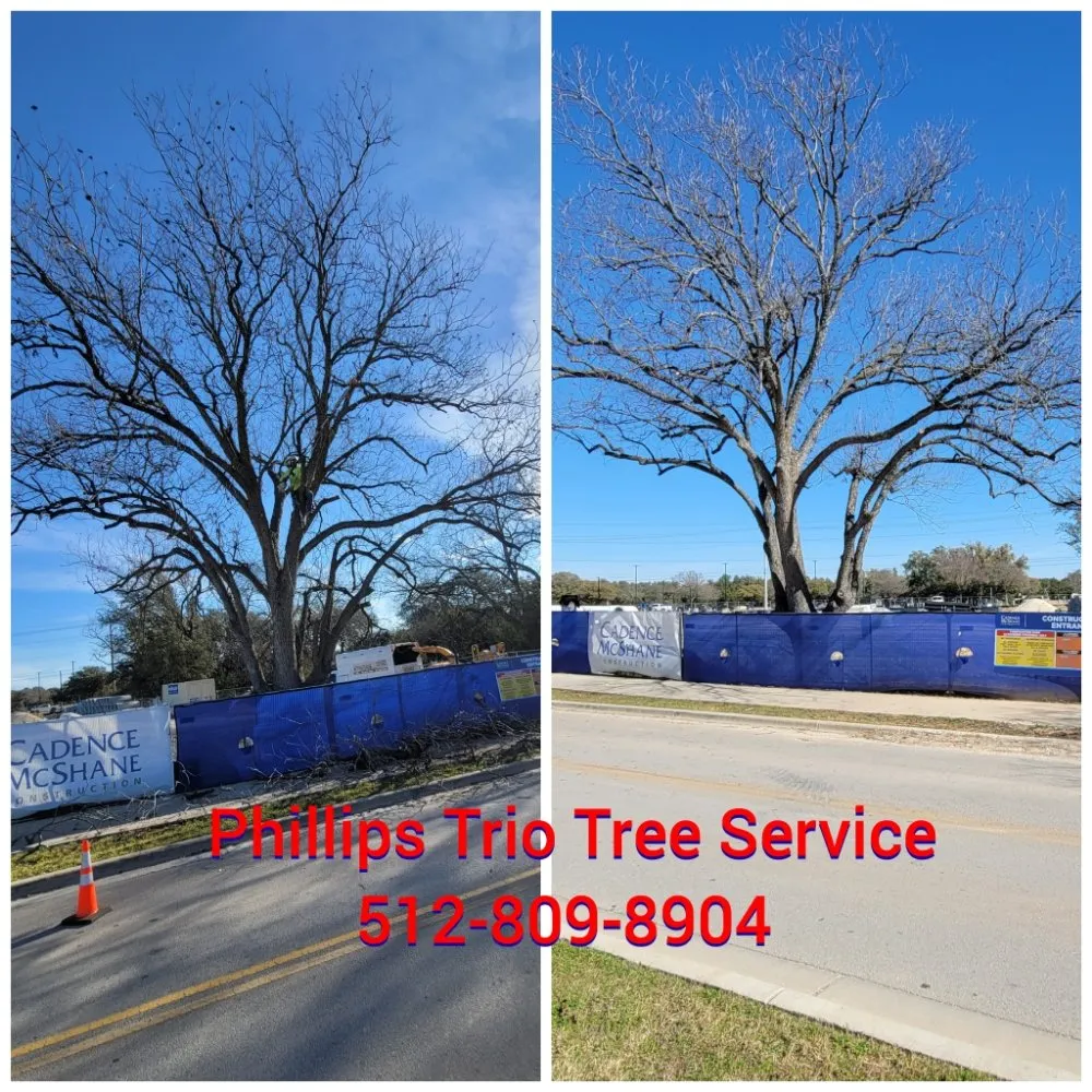 Reliable outdoor landscaping for year-round maintenance in Caldwell, TX by Phillips Trio Lawn And Tree Care