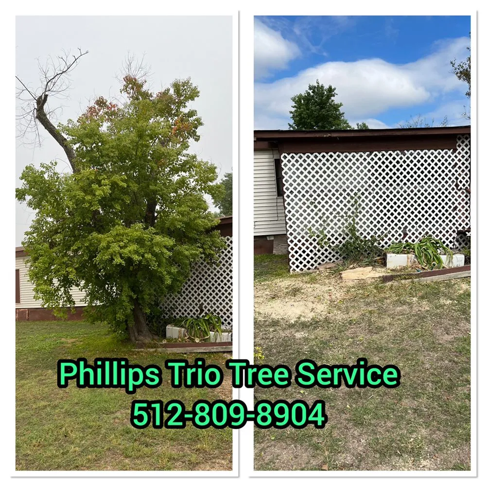 Custom residential landscaping for homes in Caldwell, TX by Phillips Trio Lawn And Tree Care