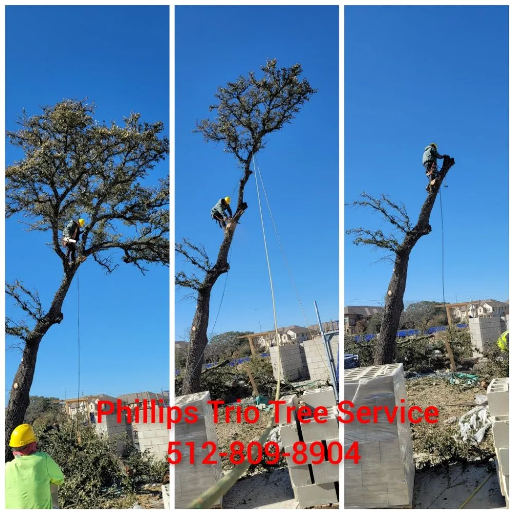 Trusted yard maintenance experts serving Caldwell, TX - Phillips Trio Lawn And Tree Care