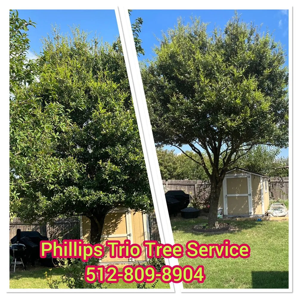 Affordable landscape design experts serving Caldwell, TX - Phillips Trio Lawn And Tree Care