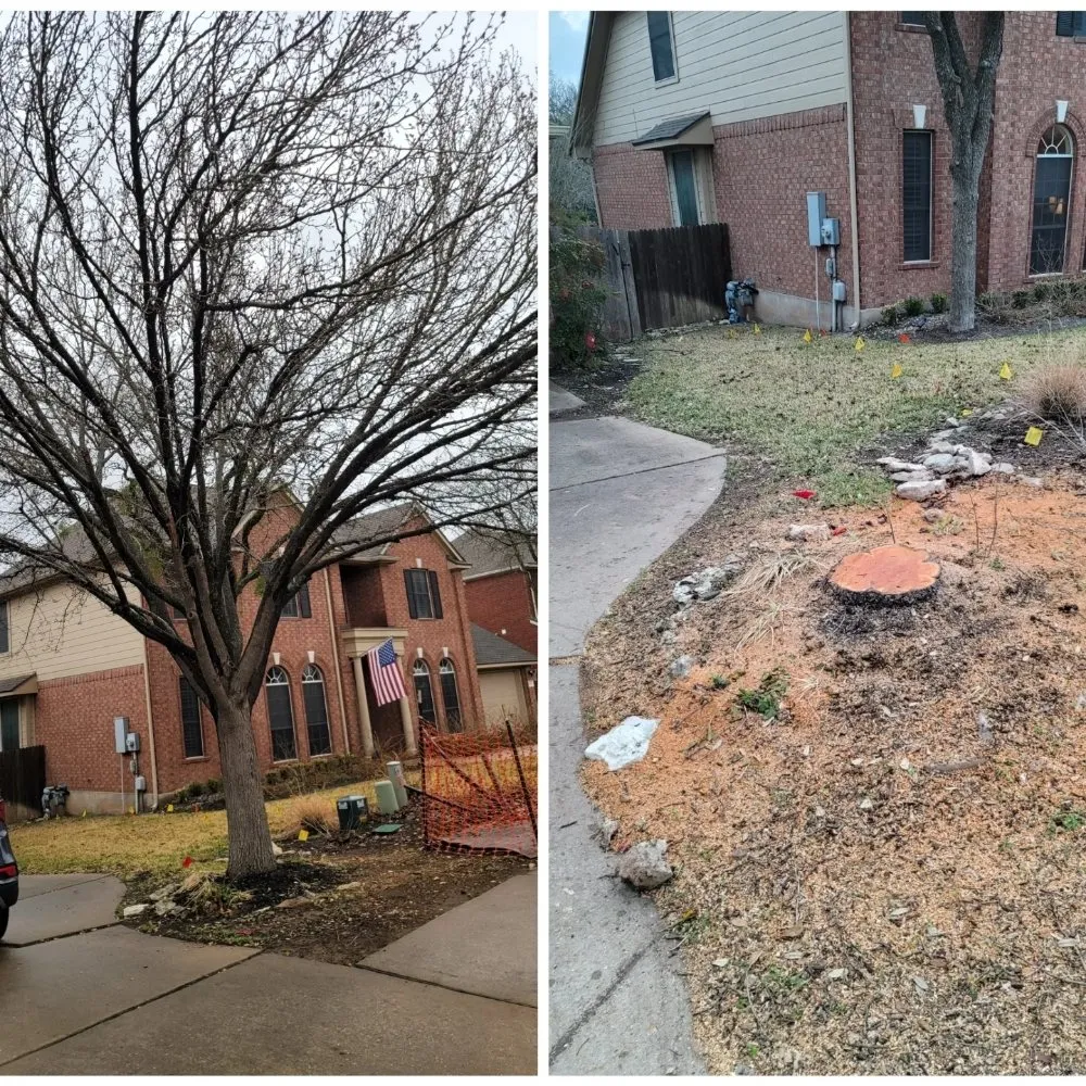 Professional yard cleanup service experts serving Caldwell, TX - Phillips Trio Lawn And Tree Care