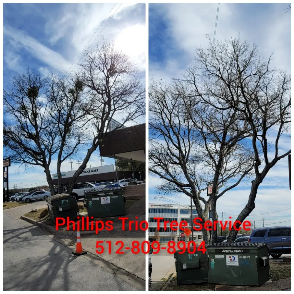 Trusted residential landscaping for residential properties in Caldwell, TX by Phillips Trio Lawn And Tree Care