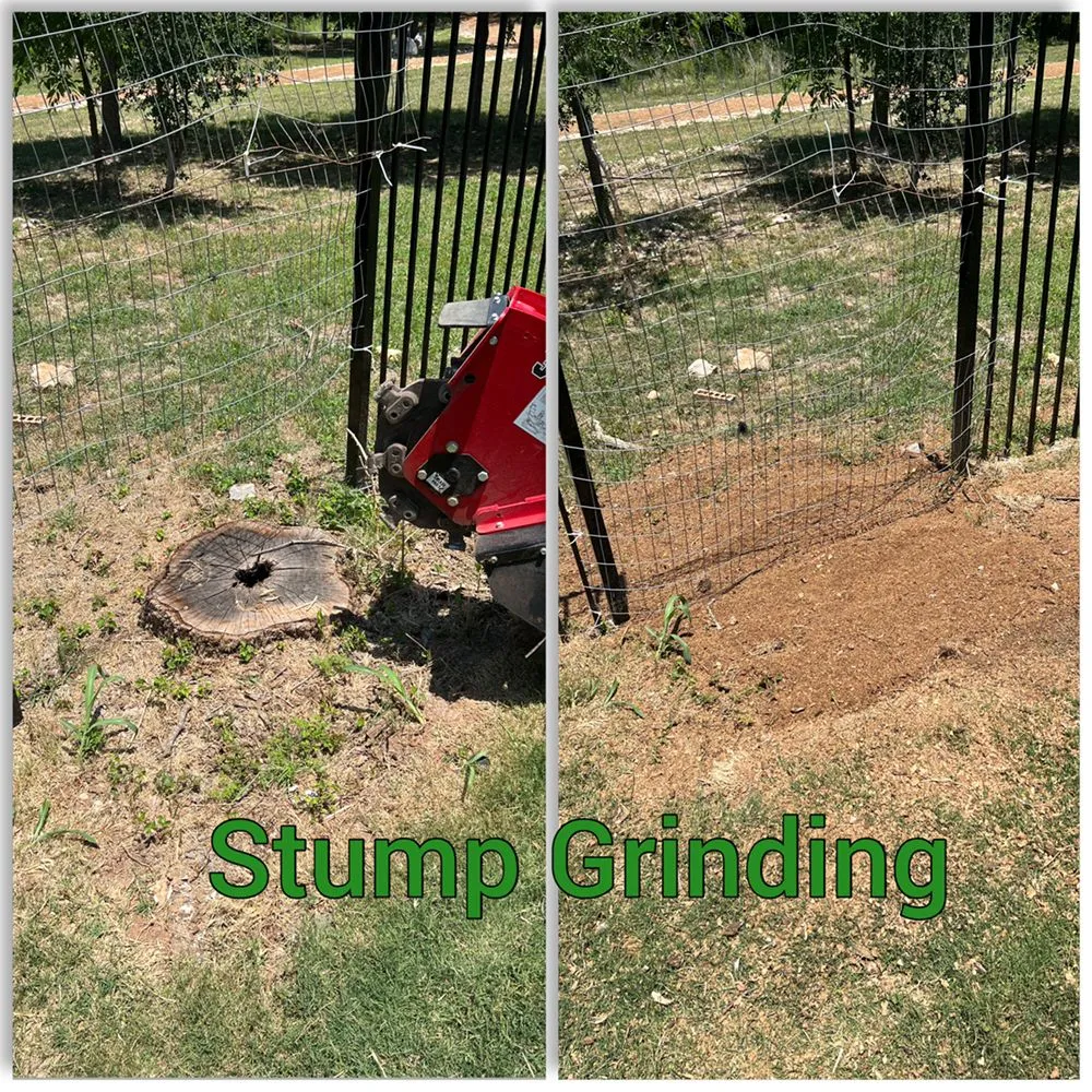 Top-rated lawn mowing service for outdoor upgrades in Caldwell, TX by Phillips Trio Lawn And Tree Care