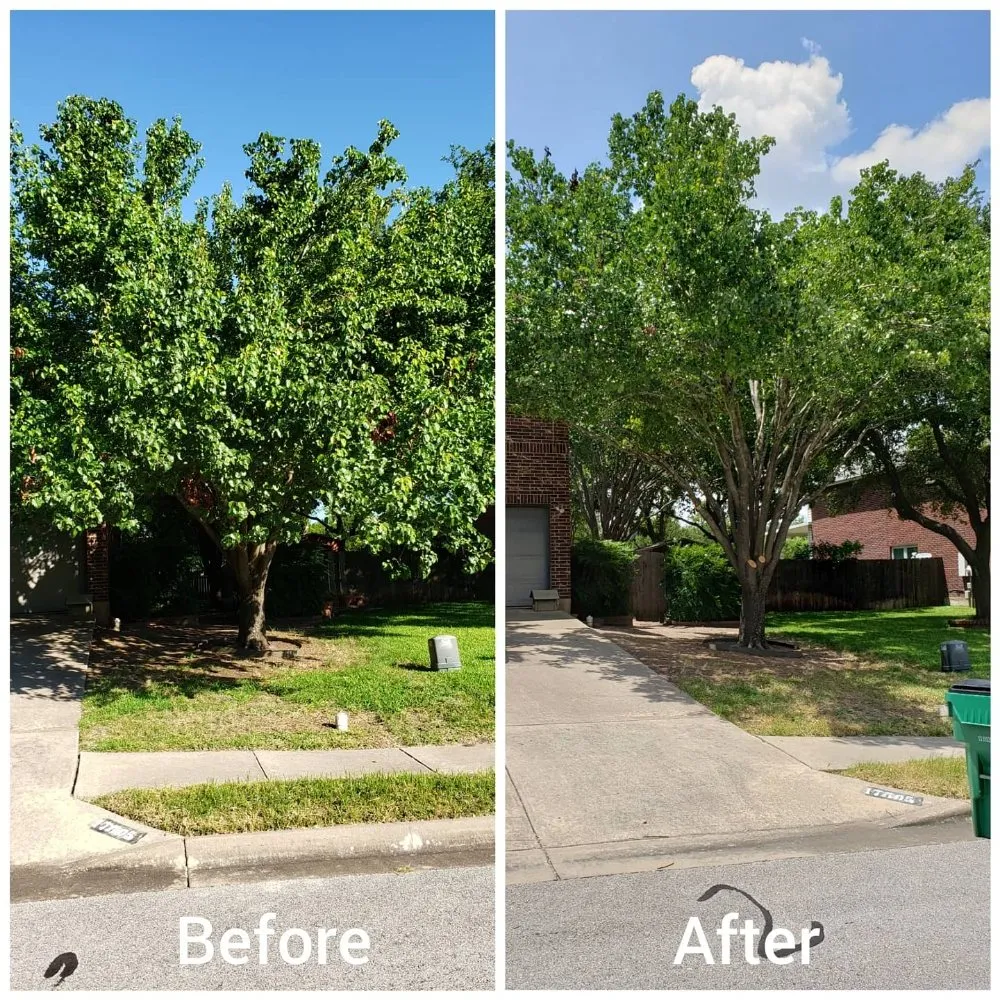Trusted landscape installation experts serving Caldwell, TX - Phillips Trio Lawn And Tree Care