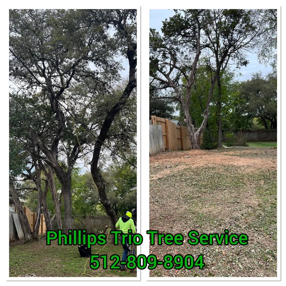 Top-rated residential landscaping in Caldwell, TX - Phillips Trio Lawn And Tree Care