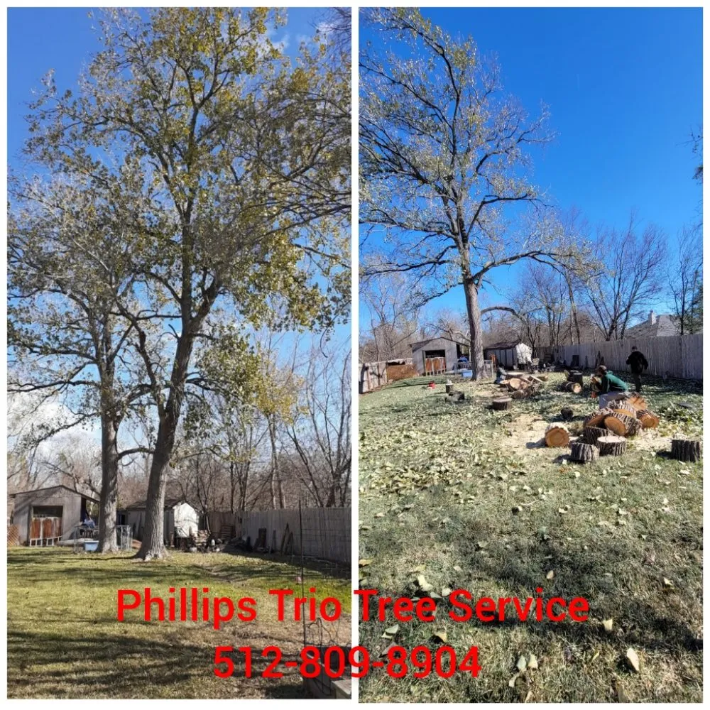 Local landscape installation in Caldwell, TX - Phillips Trio Lawn And Tree Care