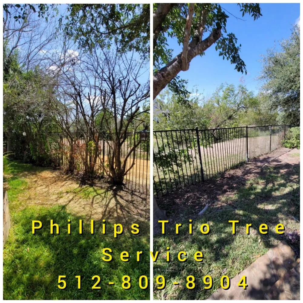 Affordable landscape installation in Caldwell, TX - Phillips Trio Lawn And Tree Care