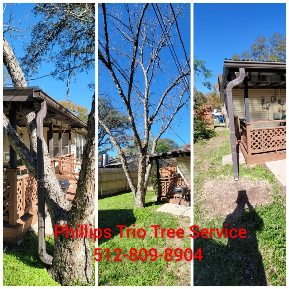 Expert landscape design for year-round maintenance across Caldwell, TX - Phillips Trio Lawn And Tree Care