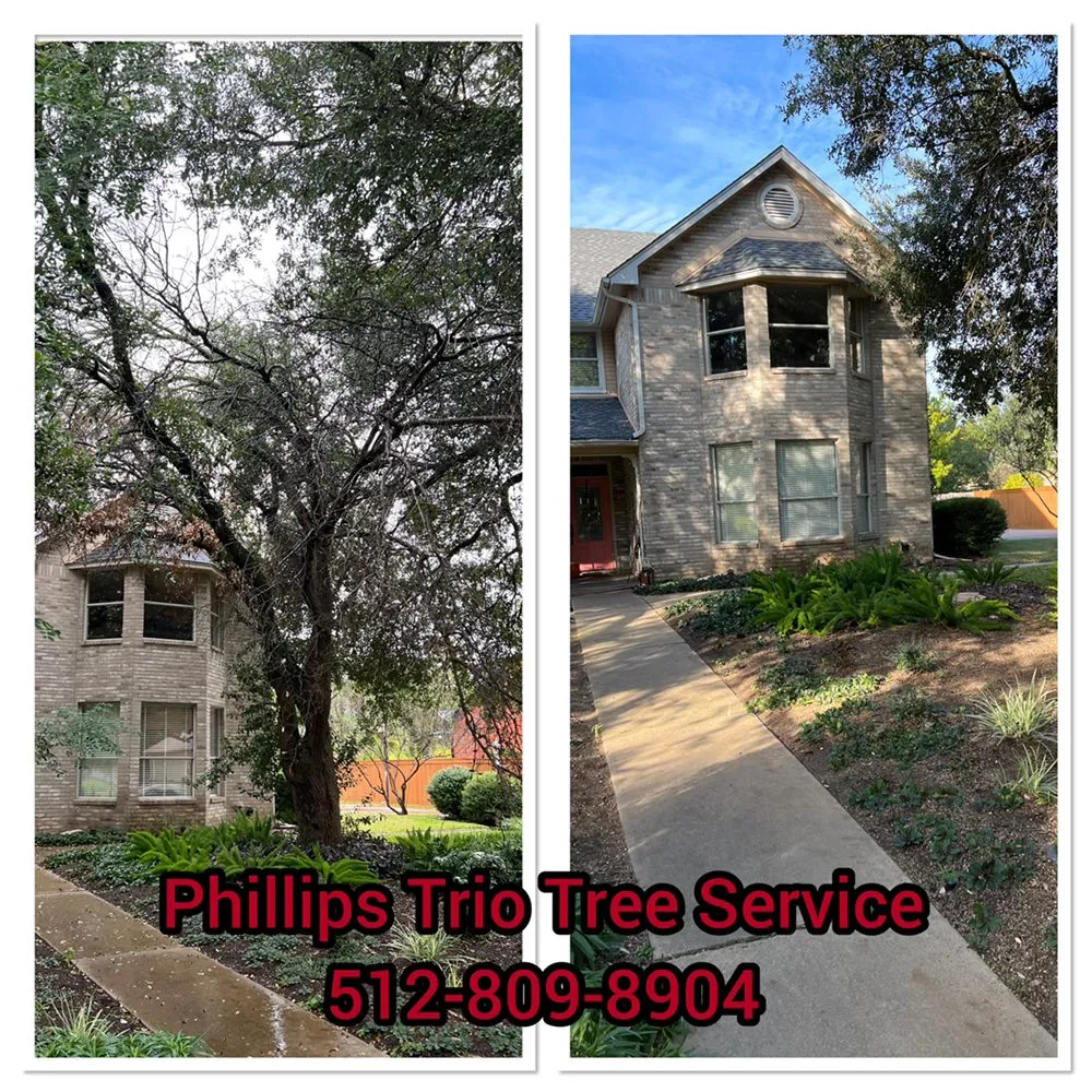 Expert landscaping services in Caldwell, TX by Phillips Trio Lawn And Tree Care
