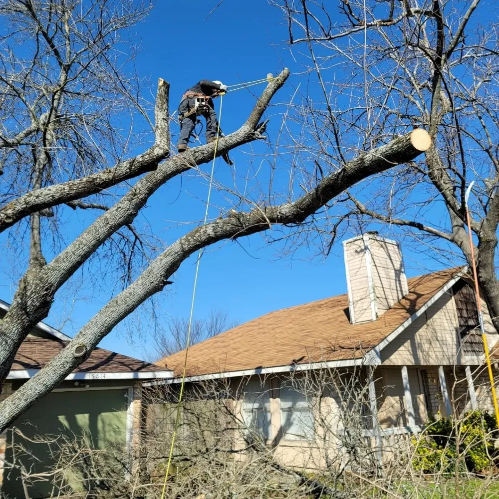 Top-rated outdoor landscaping for year-round maintenance across Caldwell, TX - Phillips Trio Lawn And Tree Care