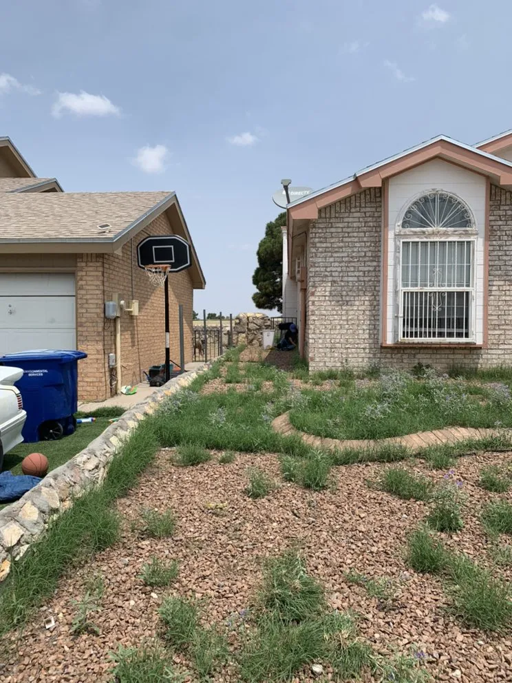 Local lawn care service experts serving El Paso, TX - Phillip's Yard Care