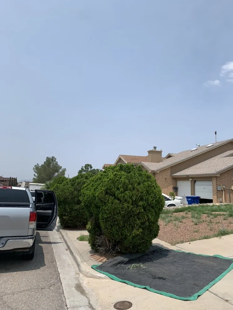 Top-rated landscape design for beautiful yards in El Paso, TX by Phillip's Yard Care