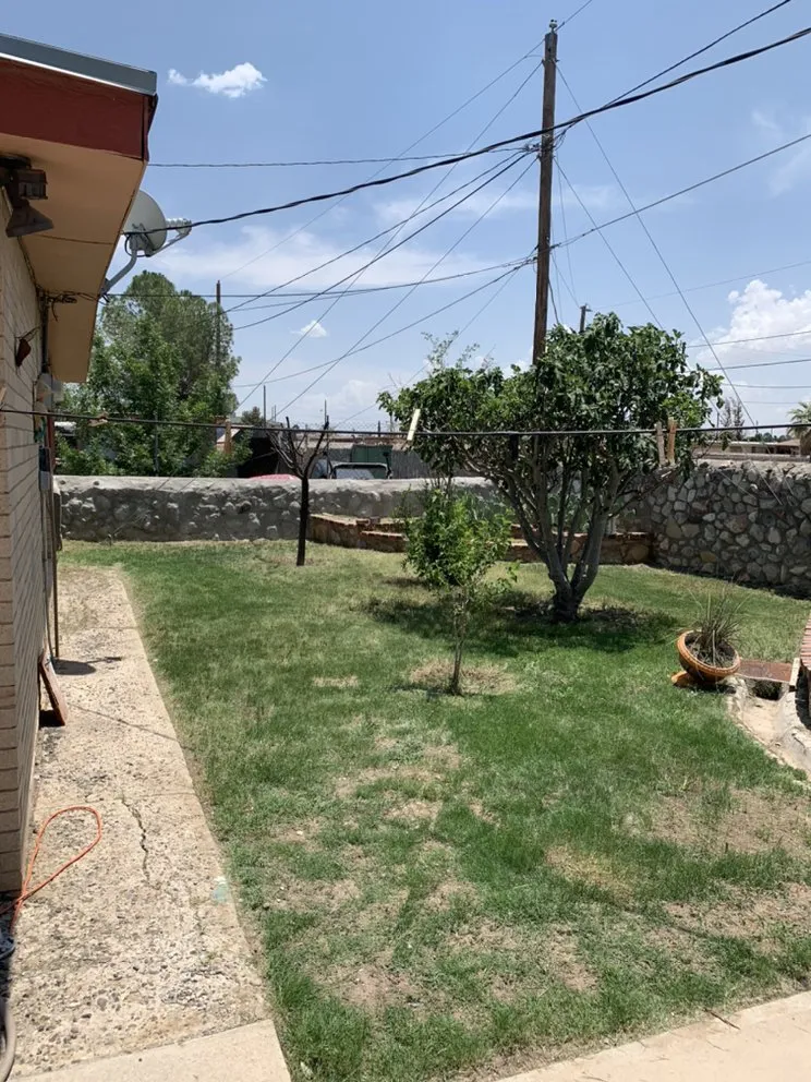 Reliable yard maintenance in El Paso, TX by Phillip's Yard Care