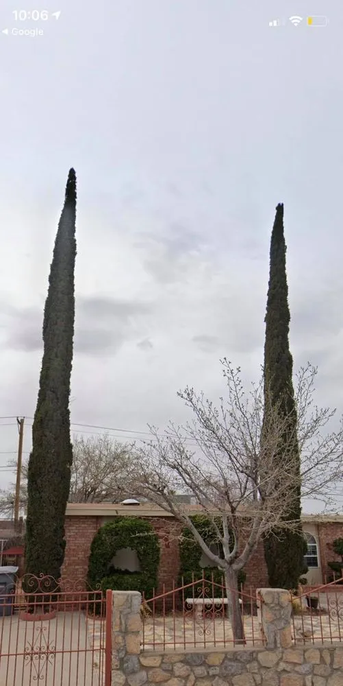 Custom landscape design for year-round maintenance across El Paso, TX - Phillip's Yard Care