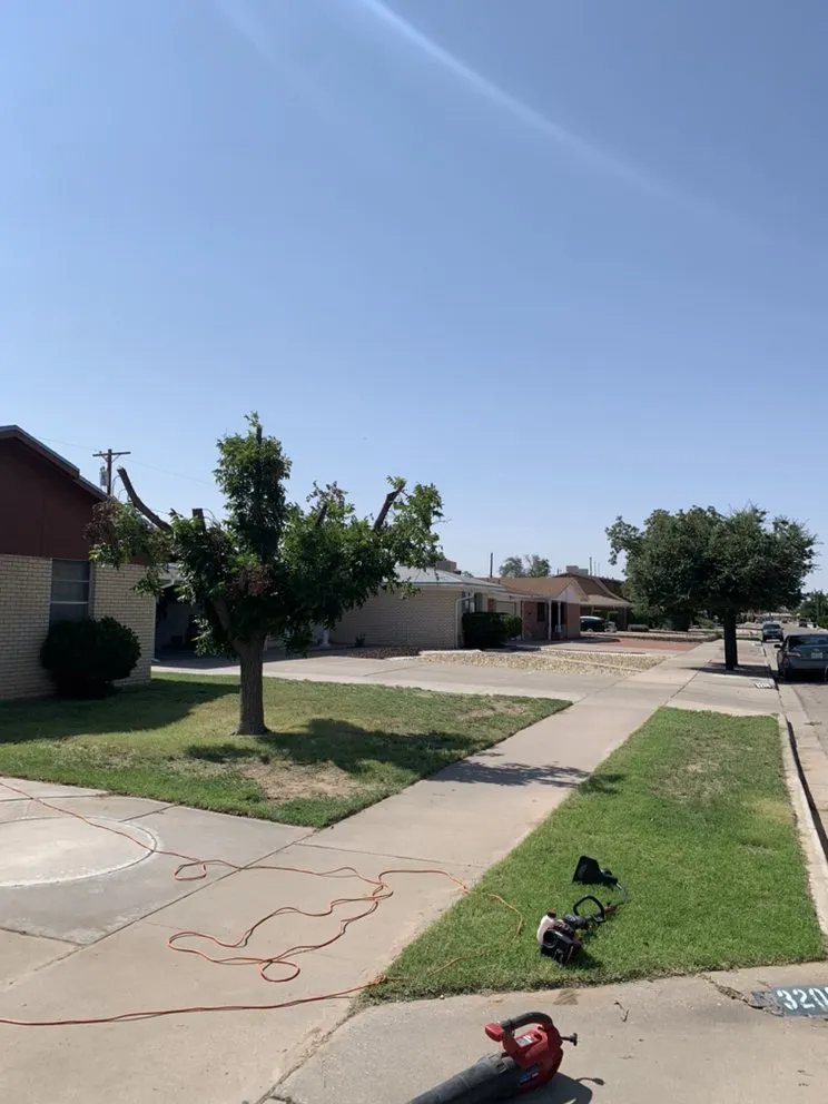 Trusted landscape installation for beautiful yards in El Paso, TX by Phillip's Yard Care