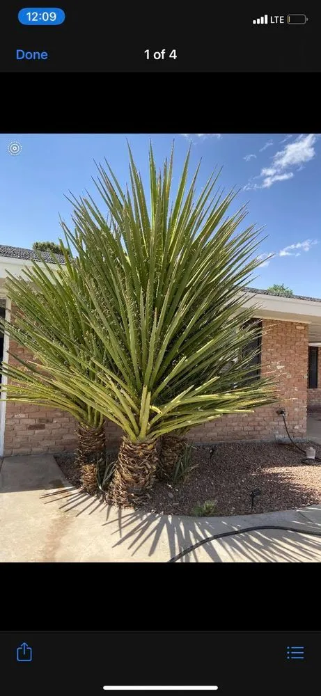 Local landscaping services for outdoor upgrades across El Paso, TX - Phillip's Yard Care